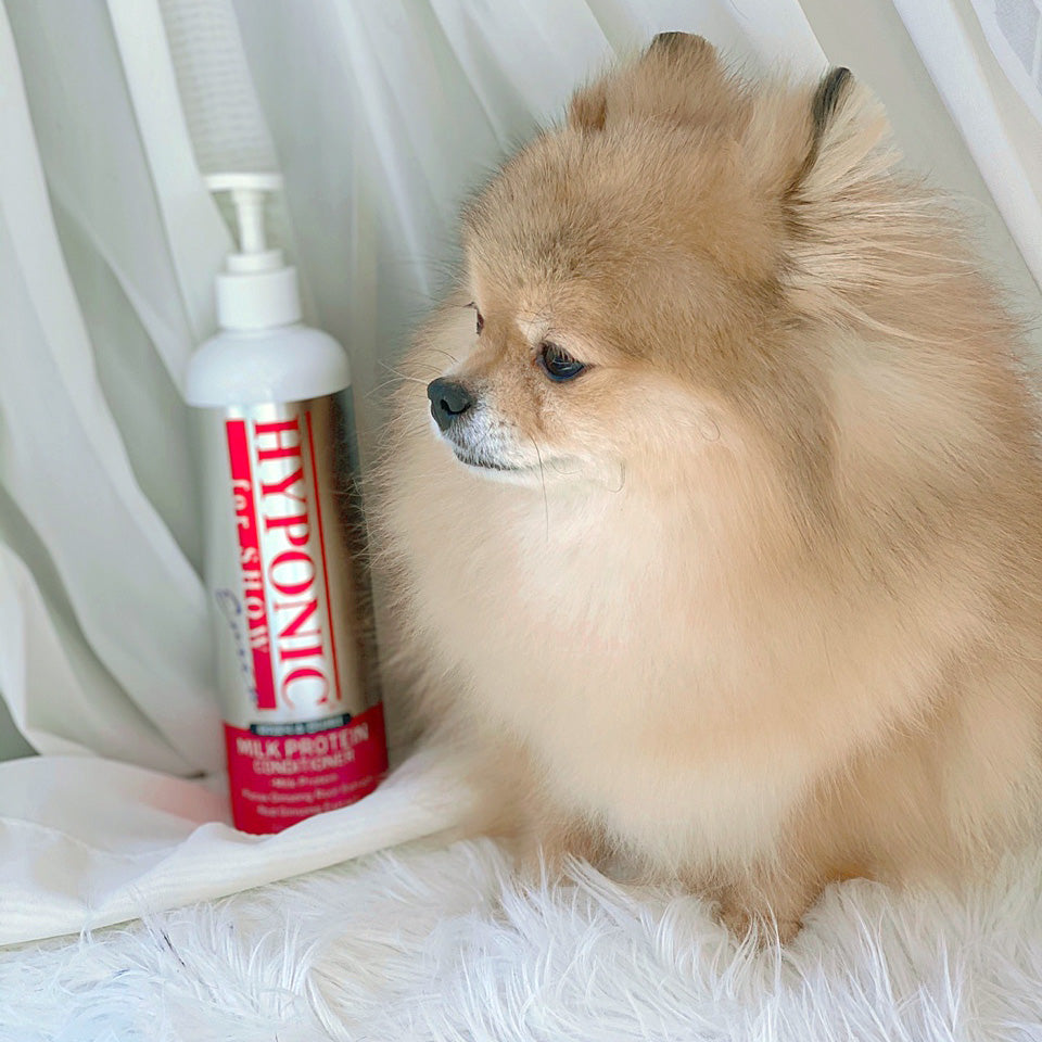 ショー・ミルクプロテインコンディショナー / for SHOW DOGS Milk Protein Conditioner