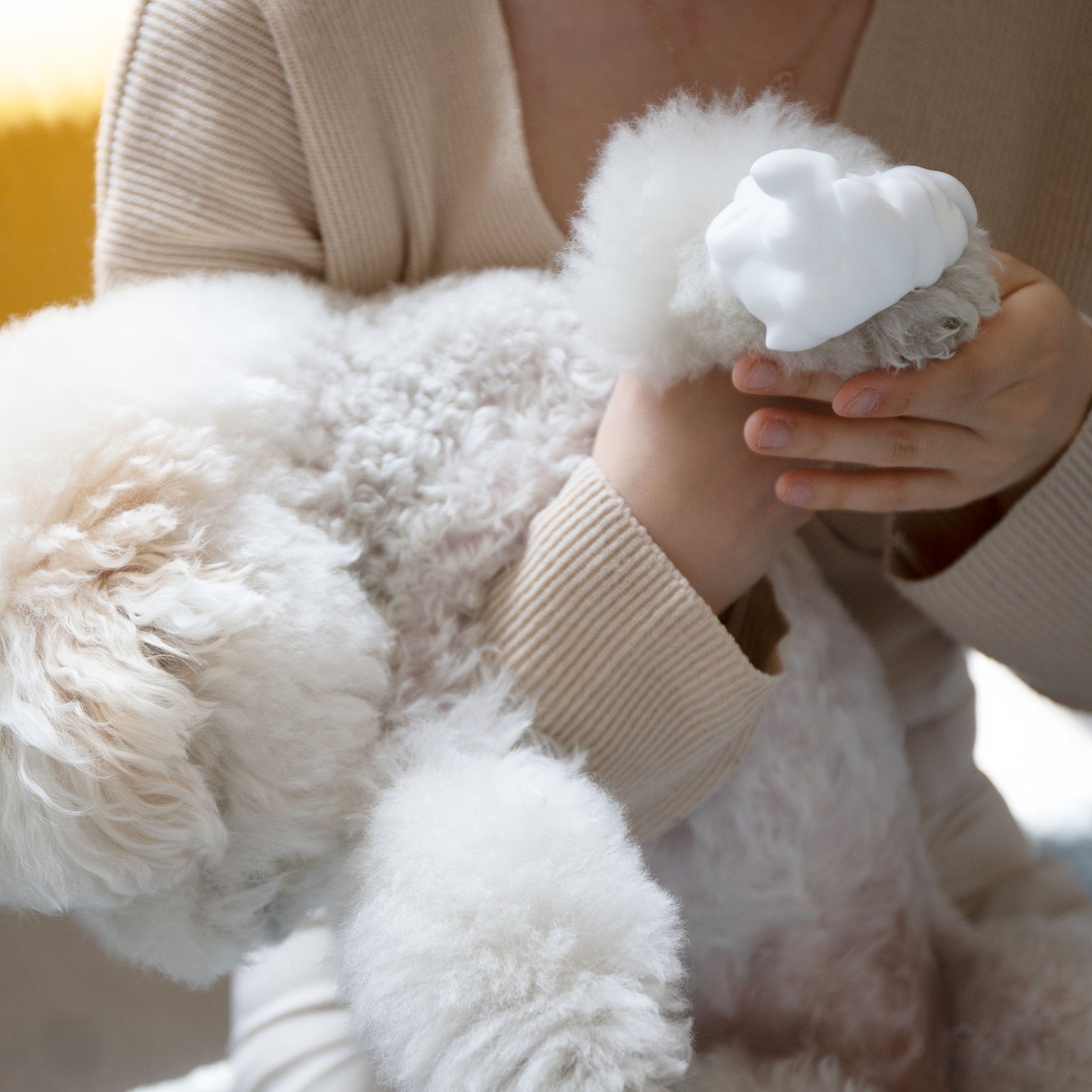 低刺激ウォーターレスシャンプー 犬用 無香料 / Hypoallergenic Waterless Shampoo (for pets_unscented)