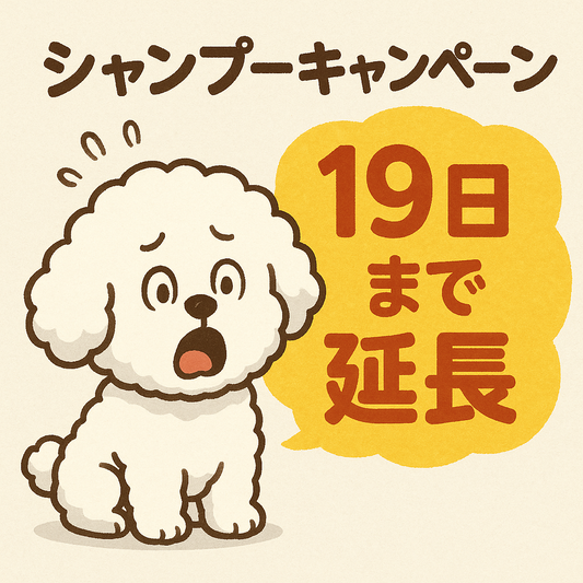 お試しキャンペーン　少しだけ延長します。