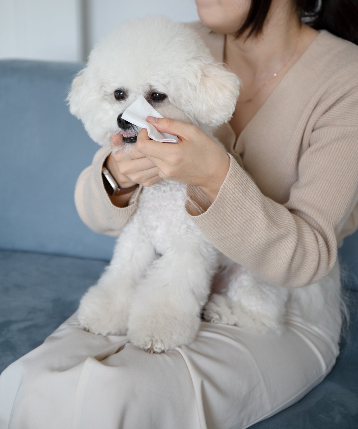涙やけリムーバー / Tear Stain Remover (for pets)