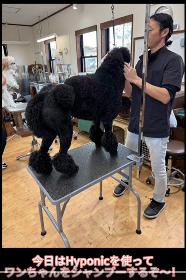 動画を読み込む: SHOWシャンプーシーン