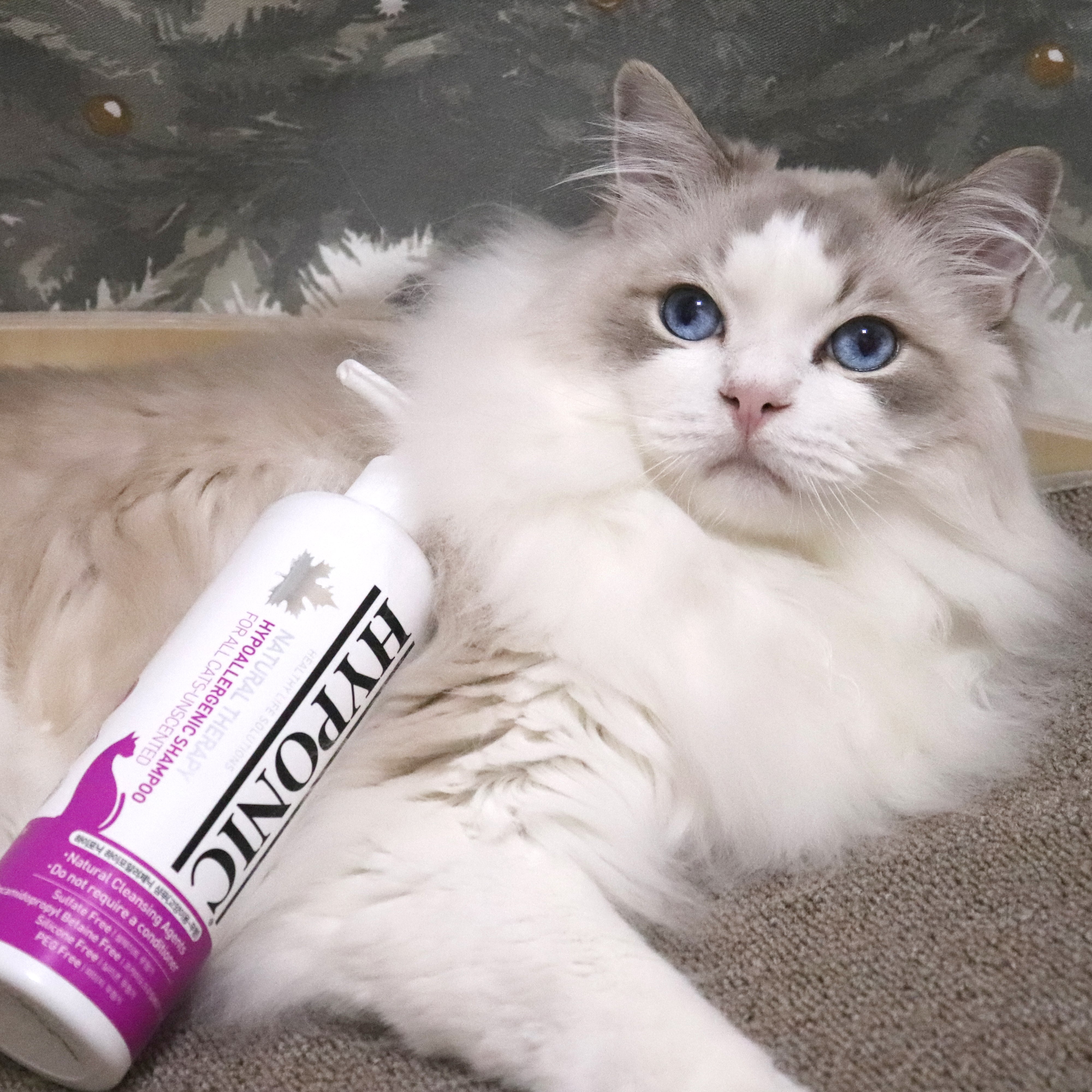 低刺激シャンプー 猫用 無香料（全猫種）/ Hypoallergenic Shampoo