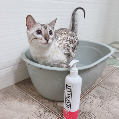シャンプーと猫