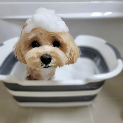 犬とシャンプー２