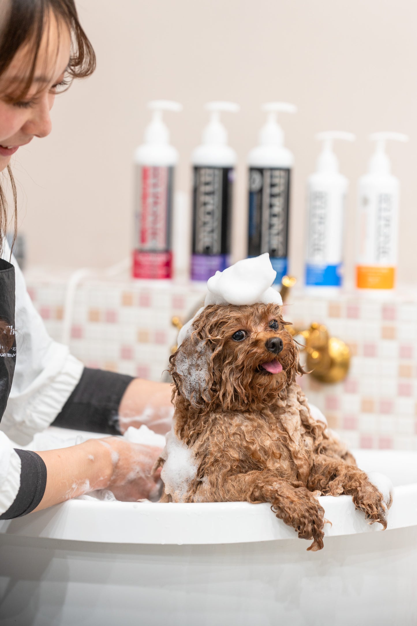 アーティストシャンプー（ハンドシザリング＆ボリュームアップ） / Grooming Artist Shampoo (for dogs_Hand Scissoring & Volume)