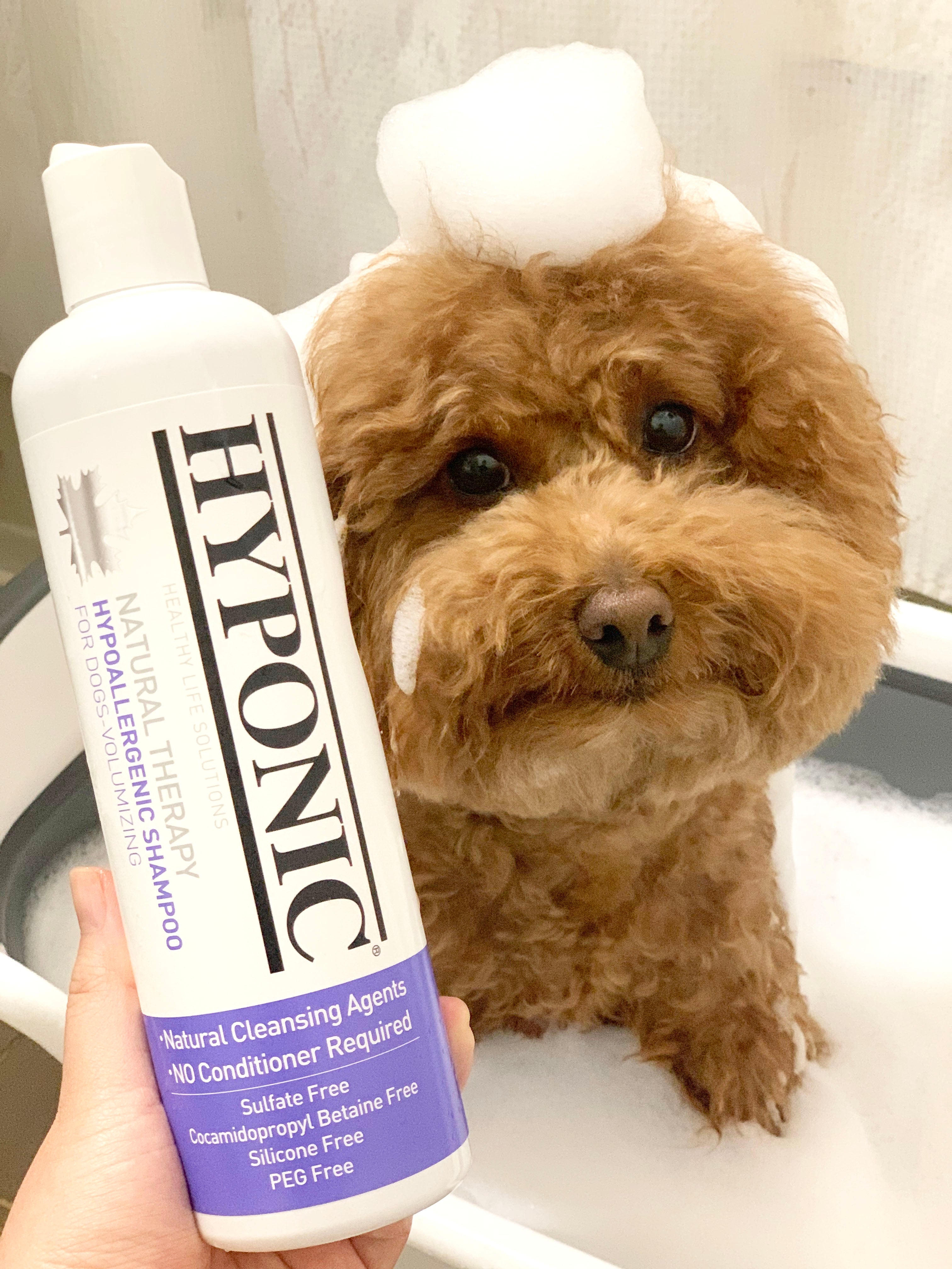 犬用ボリュームアップシャンプー｜低刺激・カール被毛向け | HYPONIC
