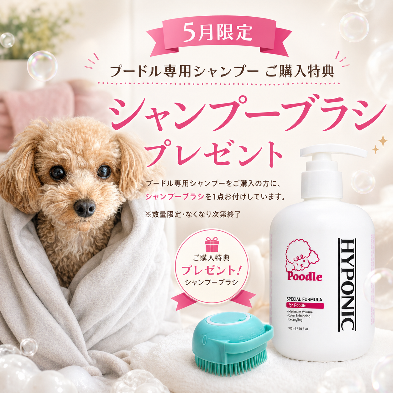 犬用シャンプー】プードル向けシャンプー｜質感とボリュームのバランス