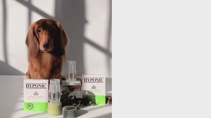 イヤークリーナー 犬用 (全犬種) / No Sting Hinoki Cypress Ear Cleaner (for all dogs)
