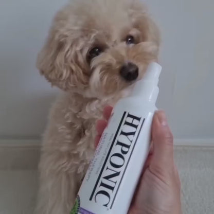ヒノキもつれほぐし モイスチャライジングスプレー / Hinoki Cypress Detangling Mist  (for all pets)