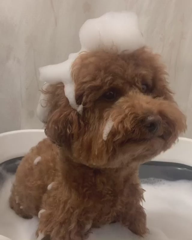 犬用シャンプー】低刺激シャンプー犬用 カール被毛向け | Hyponic