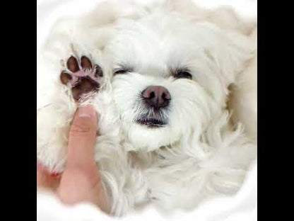 ウォーターレスシャンプー ペット用 / Hypoallergenic Waterless Shampoo (for pets)