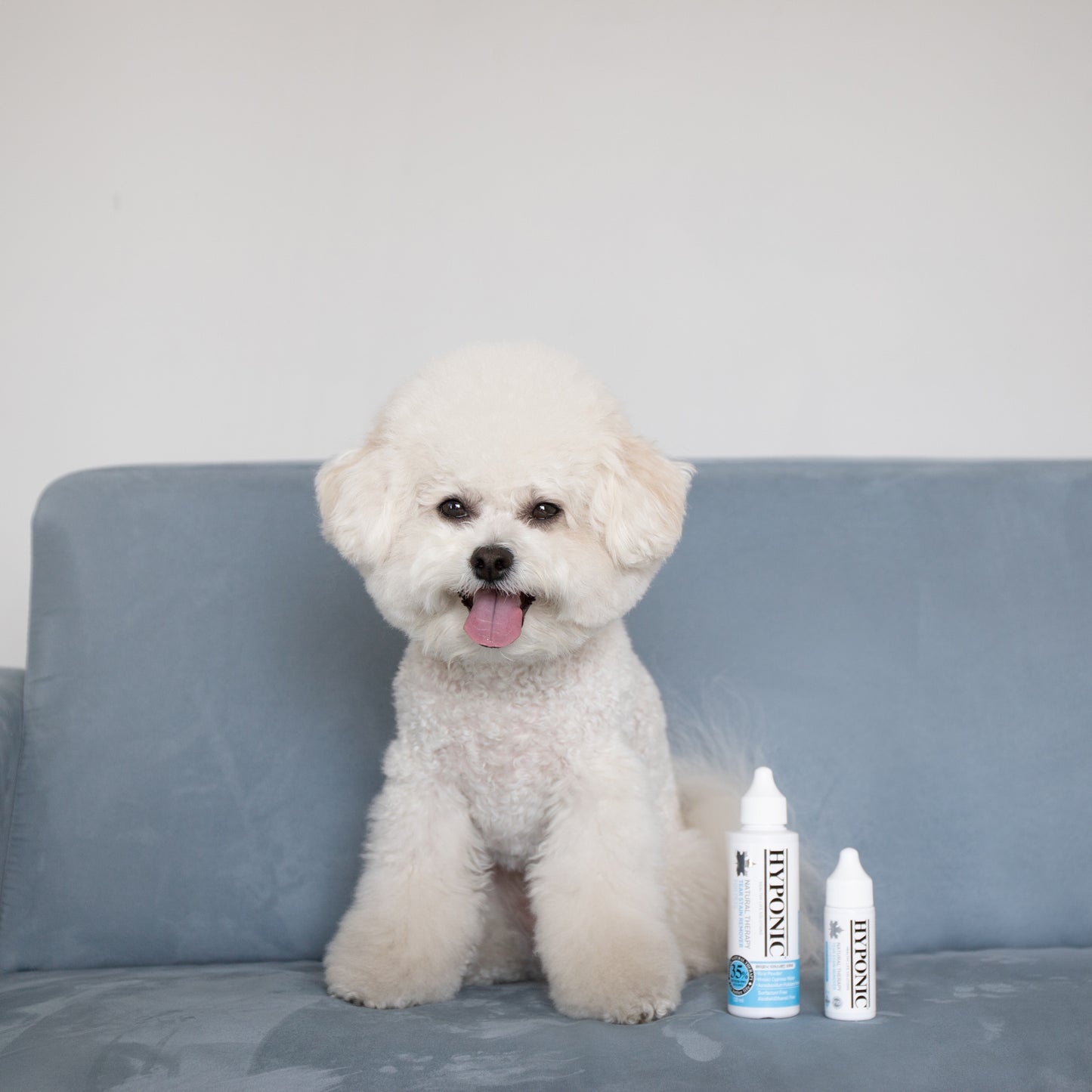涙やけリムーバー / Tear Stain Remover (for pets)