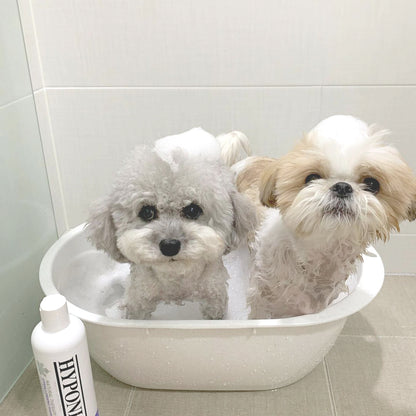 低刺激シャンプー 犬用 (ボリュームアップ) /  Hypoallergenic Shampoo (for dogs-volumizing)